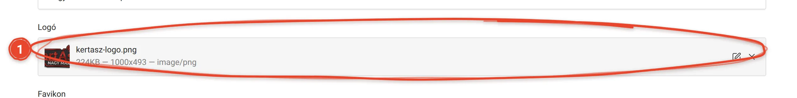 Hogyan cserélem le a logót? – képernyőkép